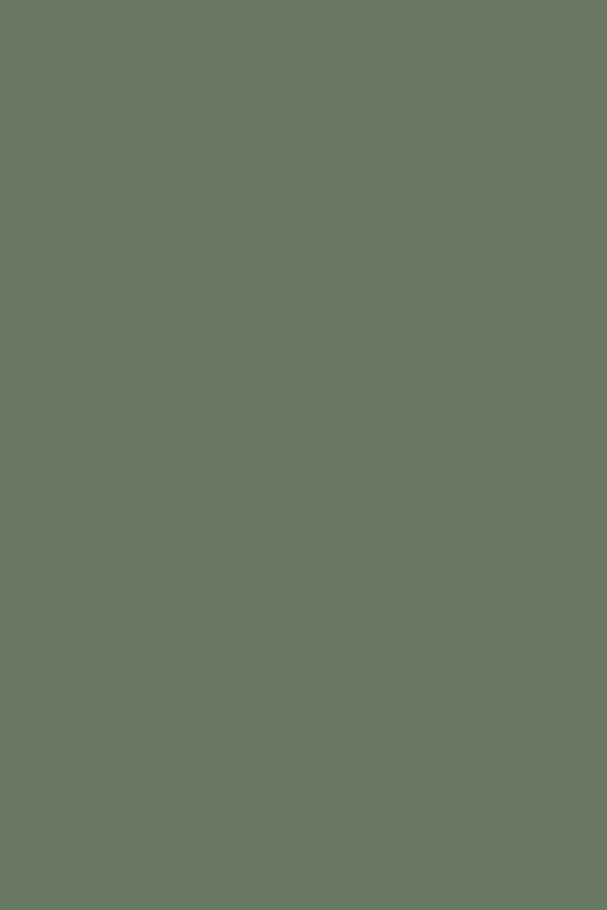 Green Slab door front