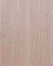 Sandy Oak Slab door front